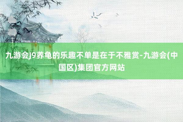 九游会J9养龟的乐趣不单是在于不雅赏-九游会(中国区)集团官方网站